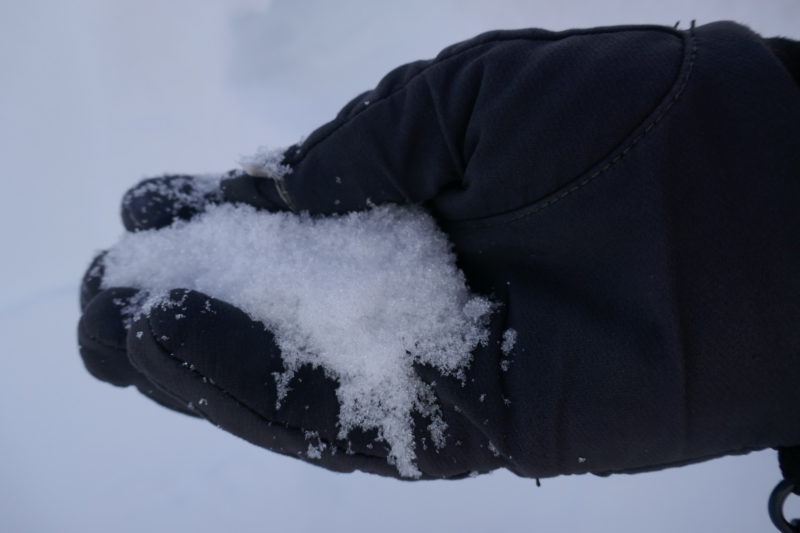 Sugary snow that was the weak layer.