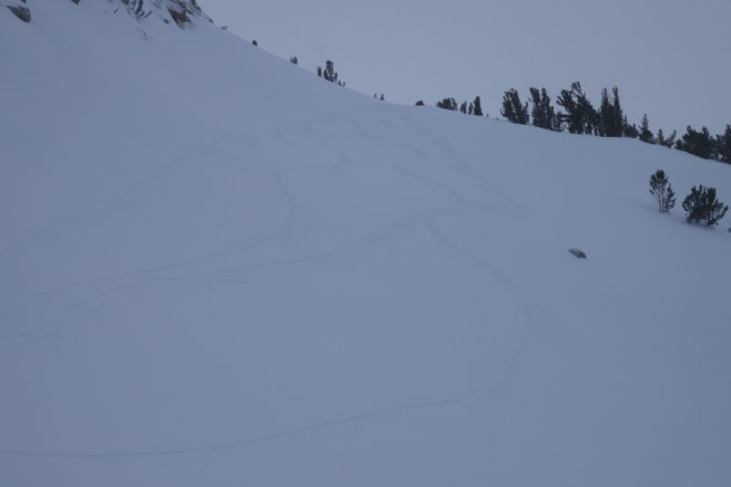 The steepest, most exposed thing we skied (not that steep, barely 30 degrees, if even that). I couldn't find a slab on this slope, and as such it was some of the better pow skiing I've had. 