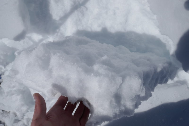 The non-planar layer the slabs broke on. They were very resistant and never propogated any cracks beyond just below the skis.