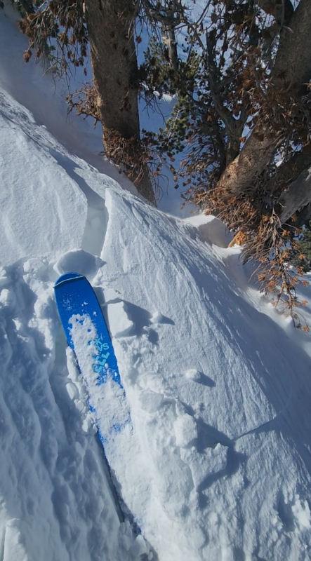 Cracking in wind slabs at treeline