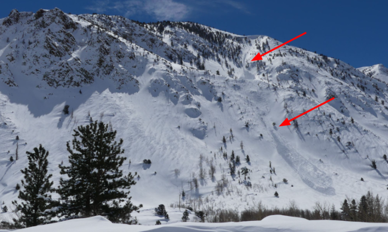 Large wind slab avalanches that likely ran 2/25 near and below treeline in Bishop Creek