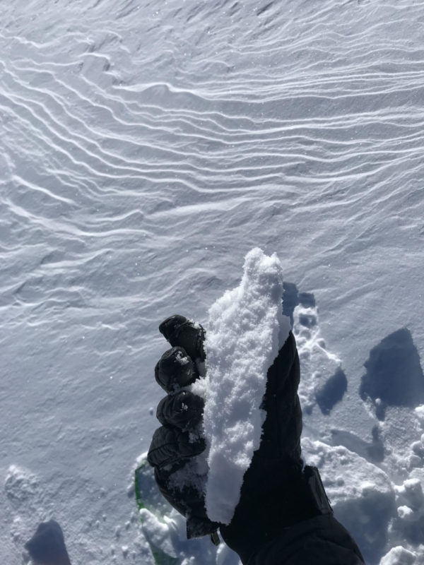 wind slab from 10190' N aspect Red Mtn