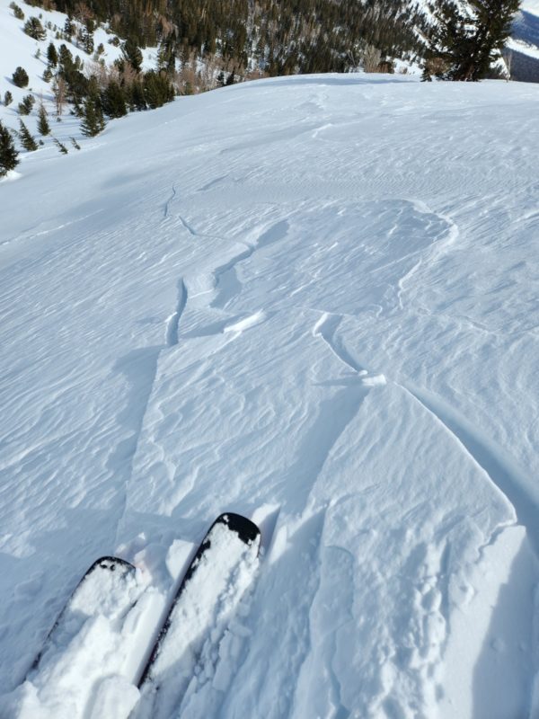 Shooting cracks on a northeast test slope near treeline