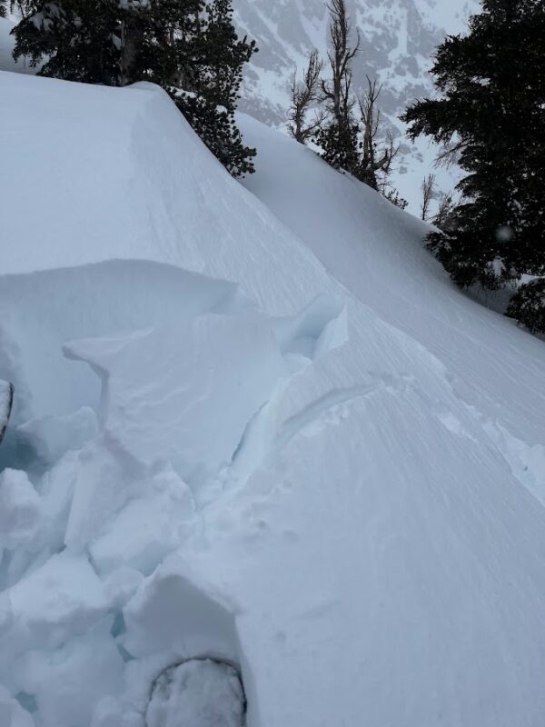 Cracking in wind loaded test slopes near treeline.