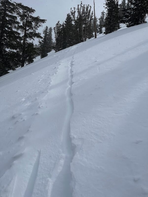 Skin tracks refilling within an hour as storm intensity increased in the afternoon. 