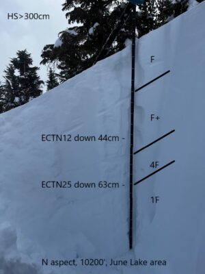 Storm snow from 3/9/23 to 3/12/23. All PP (+) and DF ( / ).