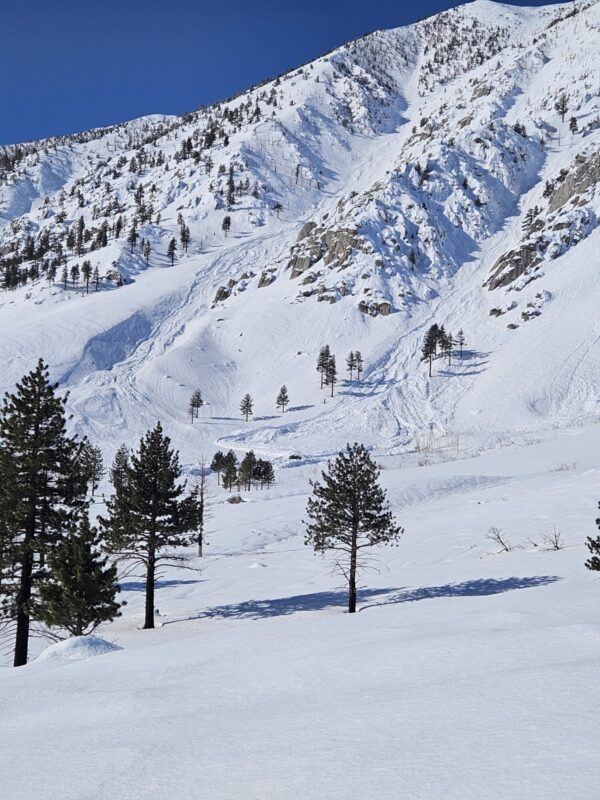 Avalanche above sky meadows ranch