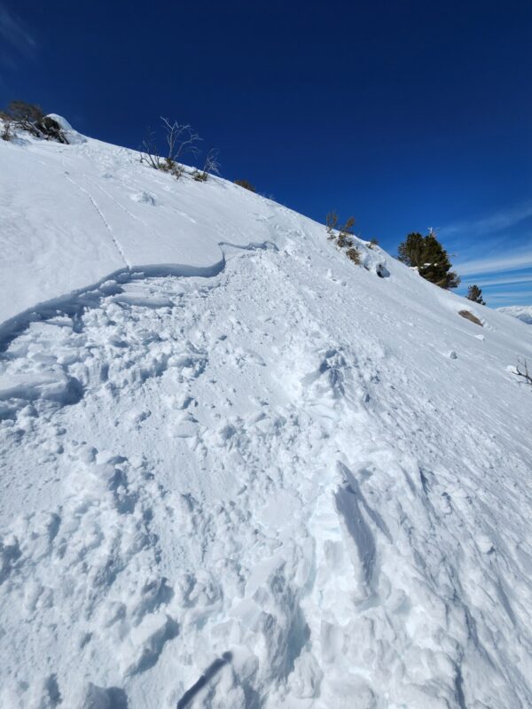 Wet snow sliding down from our ski cut, E aspect