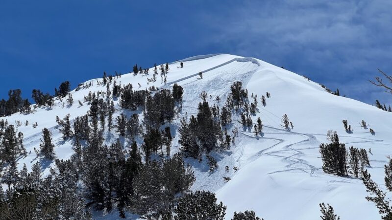 ENE, 10000', Bishop Creek. Skier tirggered from below on the skin track. No involvements and no injuries. 3/30/23