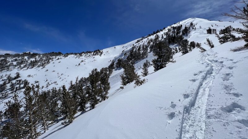 ENE, 10000', Bishop Creek. Skier tirggered from below on the skin track. No involvements and no injuries. 3/30/23