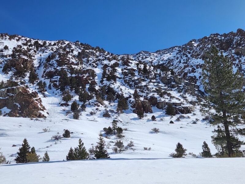 Small wet loose that ran in Lee Vining Canyon 3/30 (photo taken this morning)