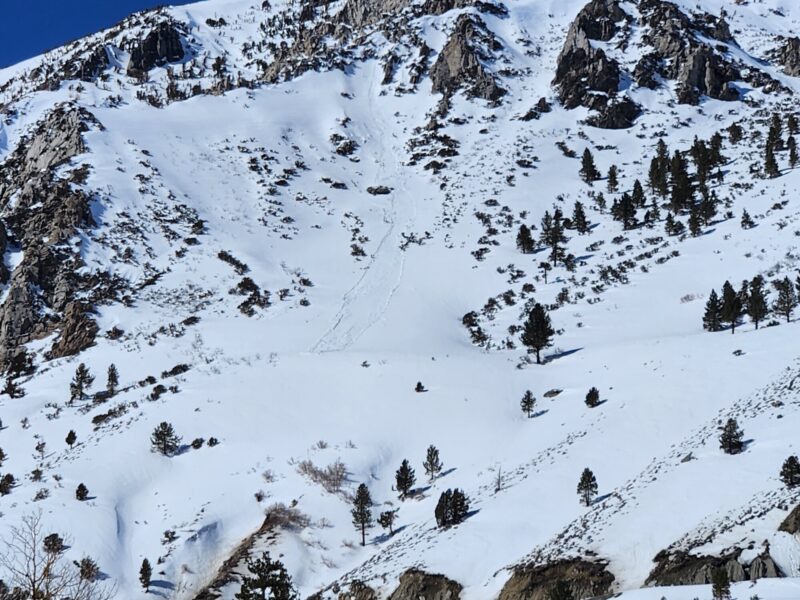 Small wet loose that ran on solar aspects near treeline in Lee Vining Canyon 3/31 