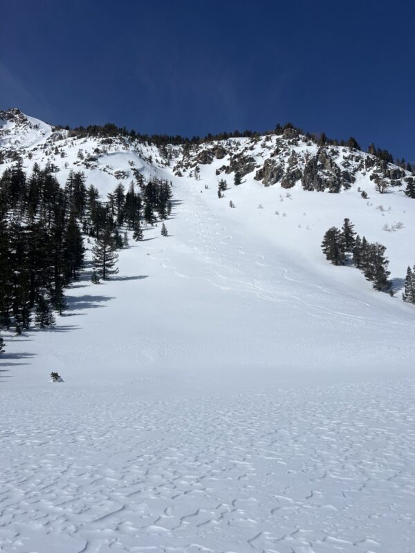 Drainage above Yost Lake prior to descent (previous tracks can be seen)