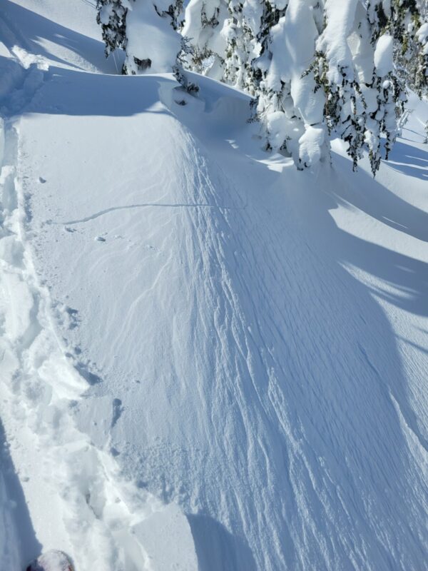 Shooting cracks in wind-drifted snow