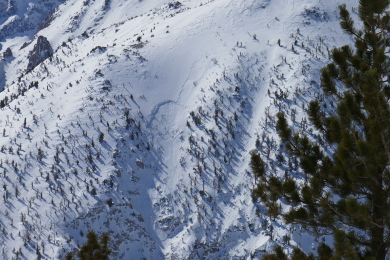 There were many crowns all over Mt. Alice's north face. 