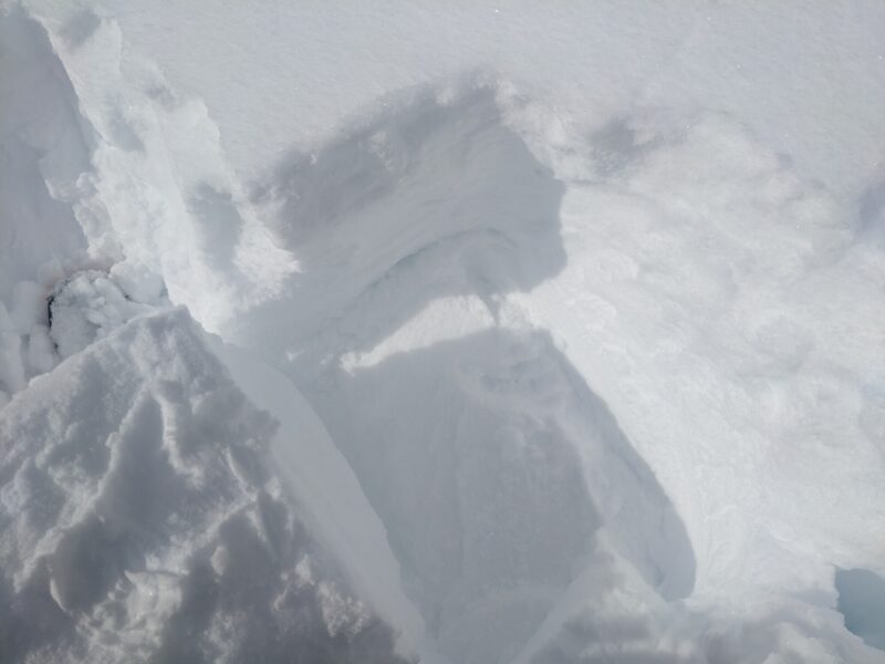 Clean shear on a thin melt-freeze crust under storm snow, SE aspect at 9500'