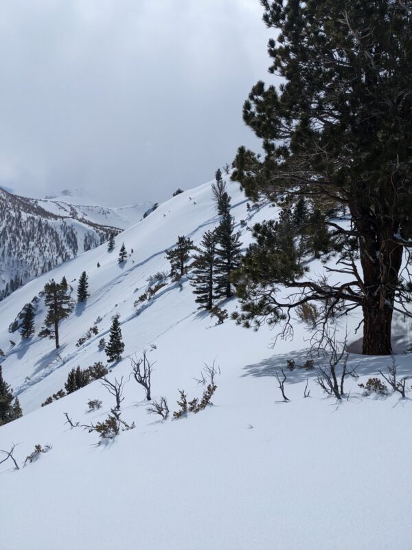 Skier remote triggered soft slab of on E aspect of Punta Bardini