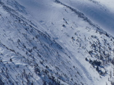 Recent step-down avalanche in Witcher Canyon Near Treeline