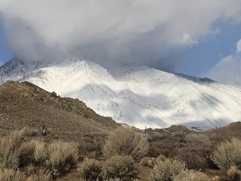 Mt. Tom, E aspect, around 10250'