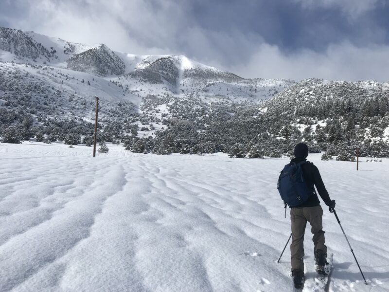 Runnels next to the road at Red Mtn