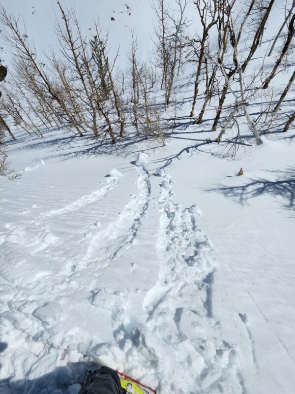 NE facing test slope 9000'