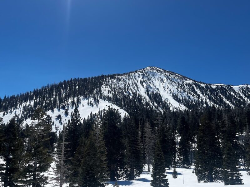 Very little blowing snow on mid-elevation peaks. Snow was being driven over the meadows on the approach from the propane tanks and plumes were visible on the highest peaks. Isolated blowing snow today.