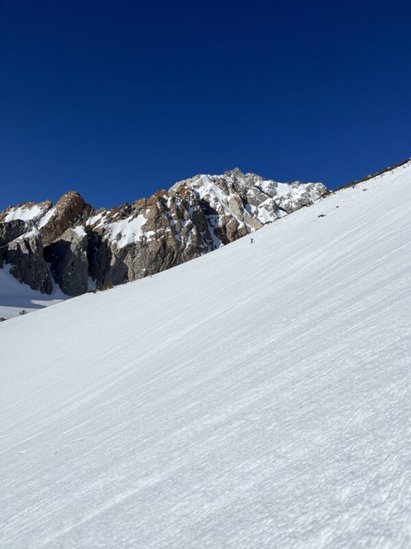 Rough texture in the alpine, on the SE face of Checkered Demon