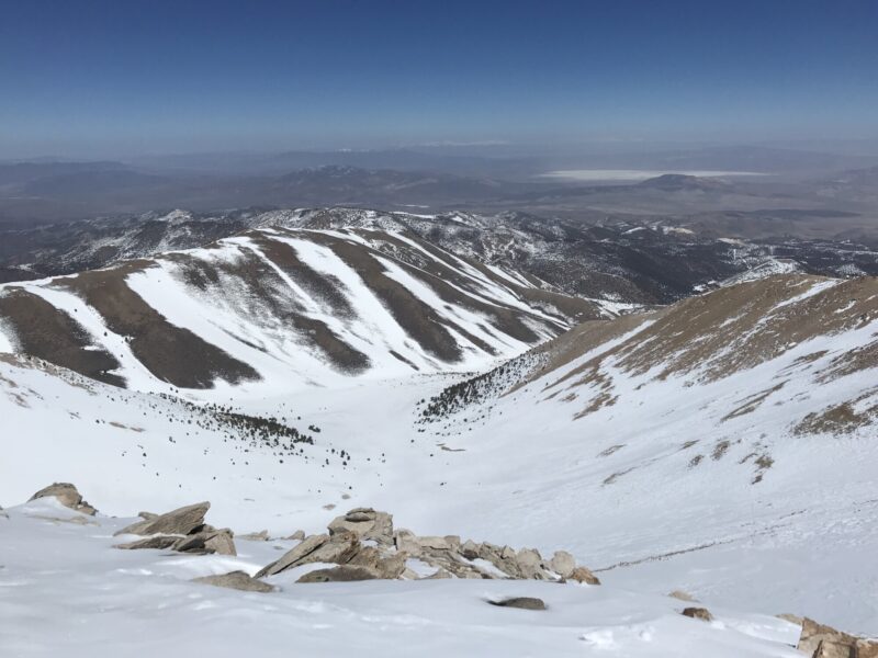 Boundary Peak NE Bowl (Trail Creek)