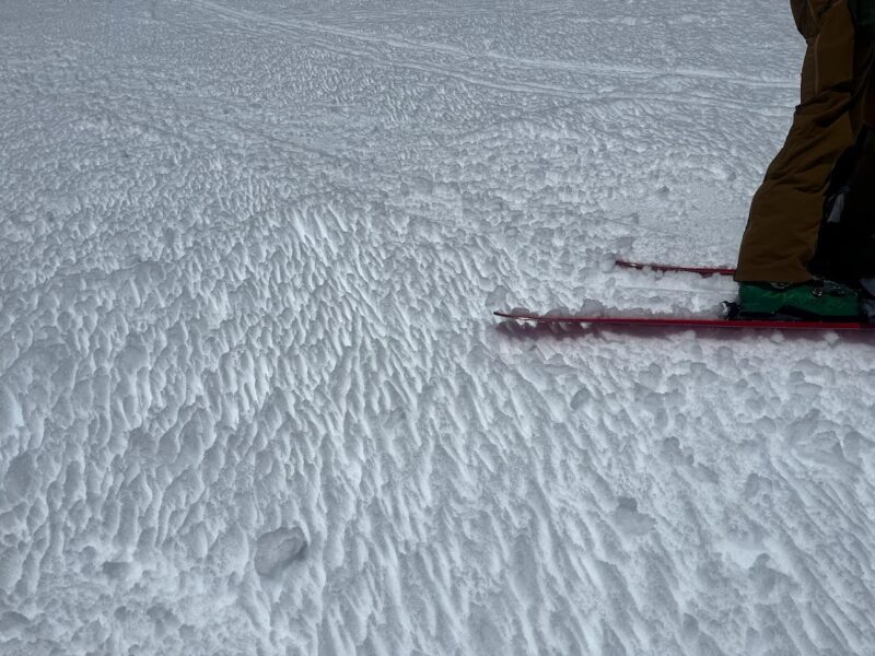 Firm, but edgealbe snow surface on the Se face of Mt. Locke at 11 AM.