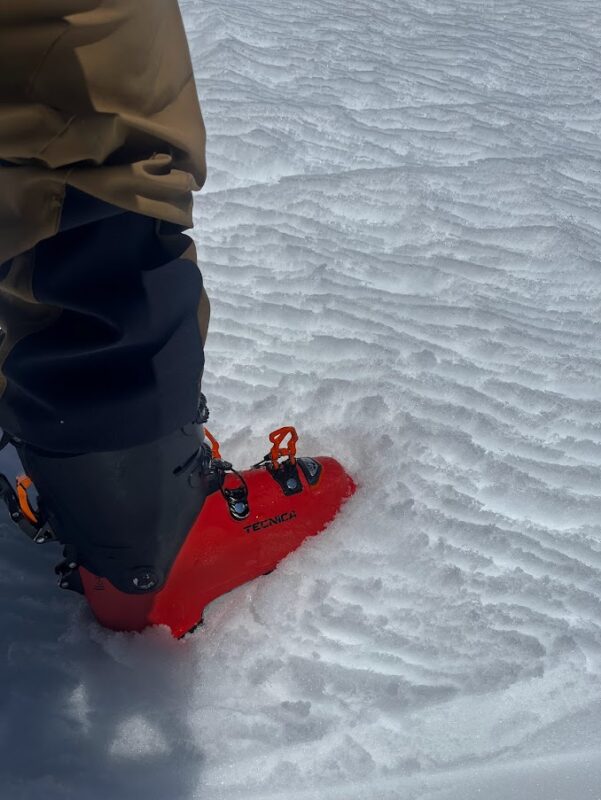 4/26/23 11:30 AM: SE slopes at 10,000' below the south end of the Dana Plateau. Supportable corn snow.