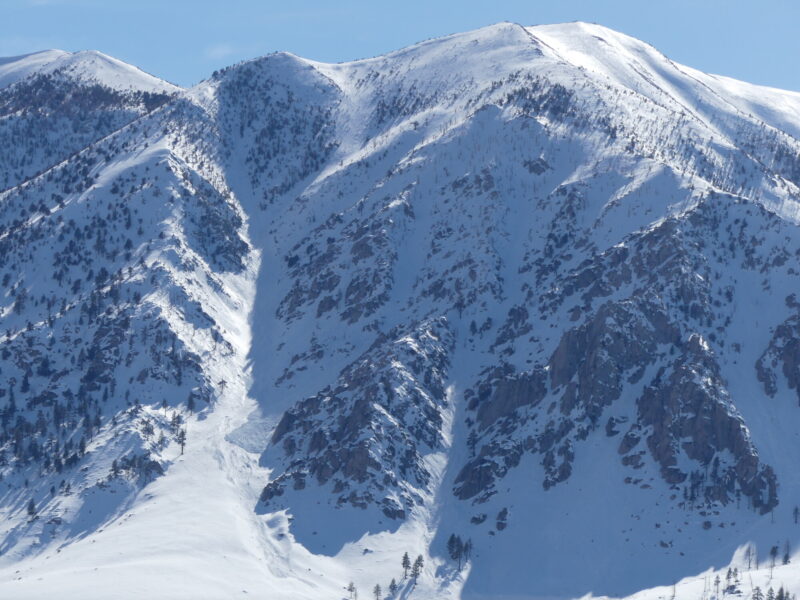 Largest unreported avalanche this afernoon. East aspect, Wheeler Crest.