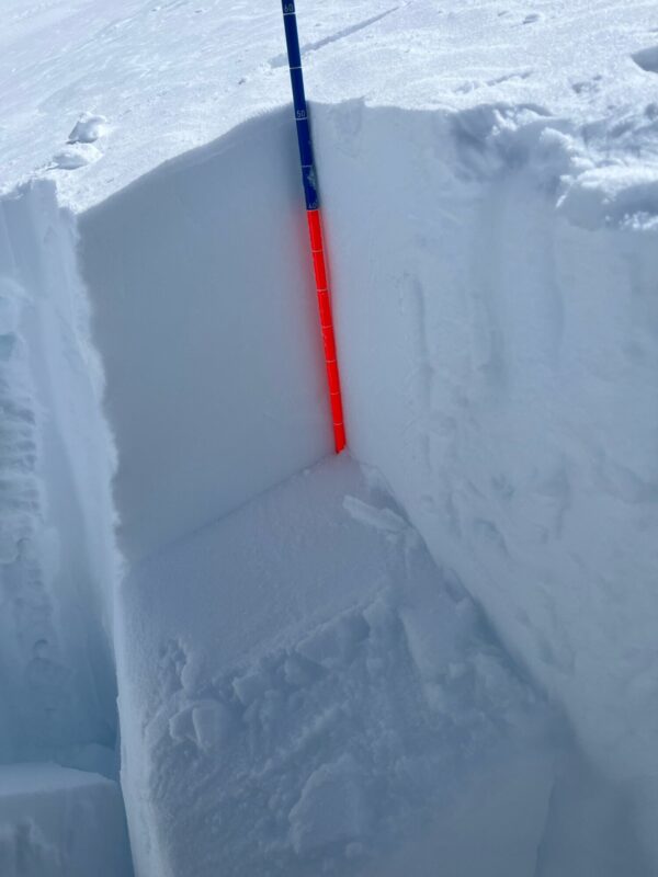 This layer consistently went on CT25-30 on what appears to be a very thin layer of buried surface hoar.  I skied this feature with no movement.  Of note, on the same slope on skiers right the slab changed.  I did not dig but could feel it in the skin track.  I avoided skiers left.