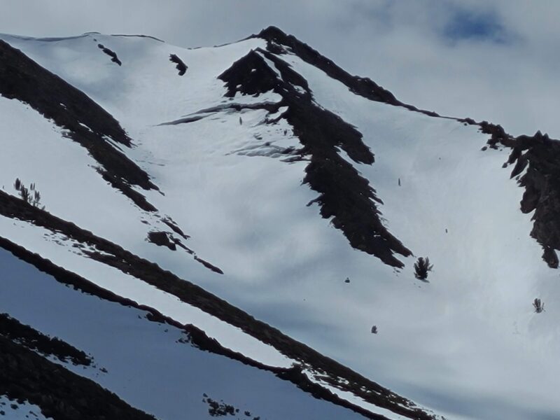 glide cracks on similar aspect/elevation on McGee Mtn. above Tobacco Flat