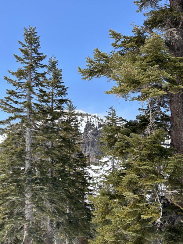 Blowing snow on top of MM.